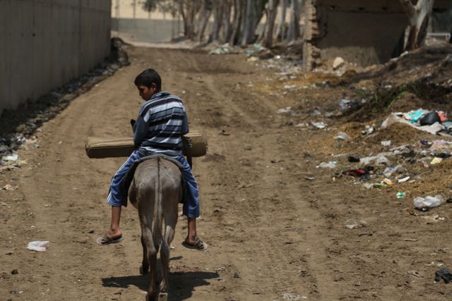 mohammed-donkey